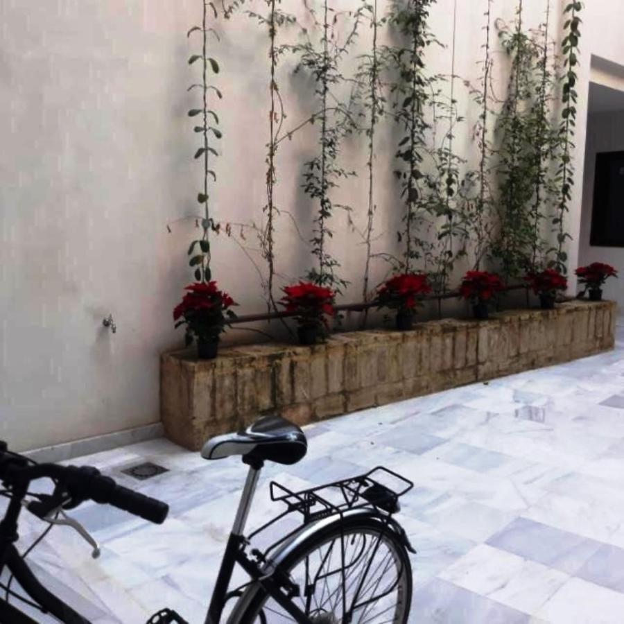 Estudio En Pleno Centro De Sevilla By Msholidays Exterior foto
